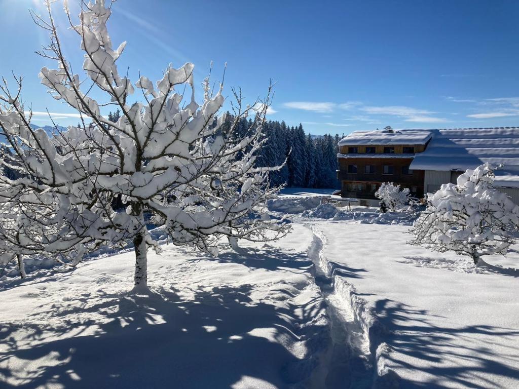 Stockreutehof Daire Sulzberg  Dış mekan fotoğraf