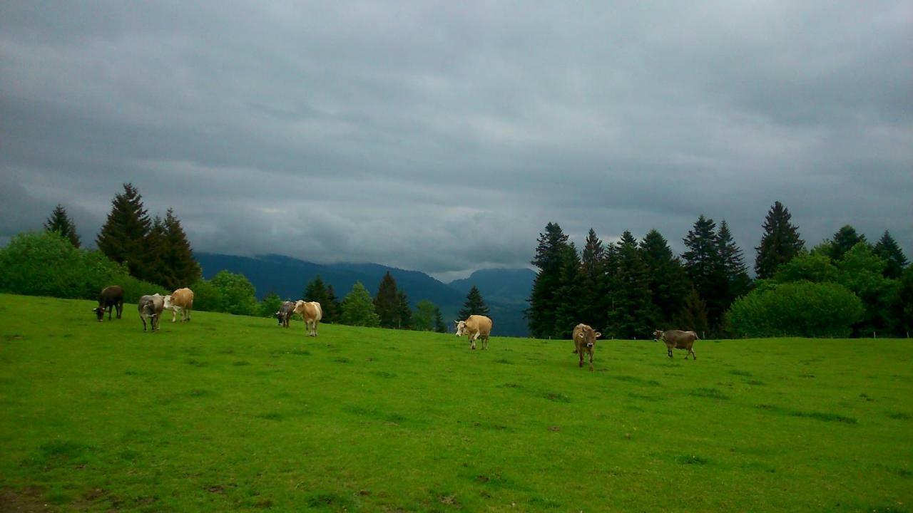 Stockreutehof Daire Sulzberg  Dış mekan fotoğraf