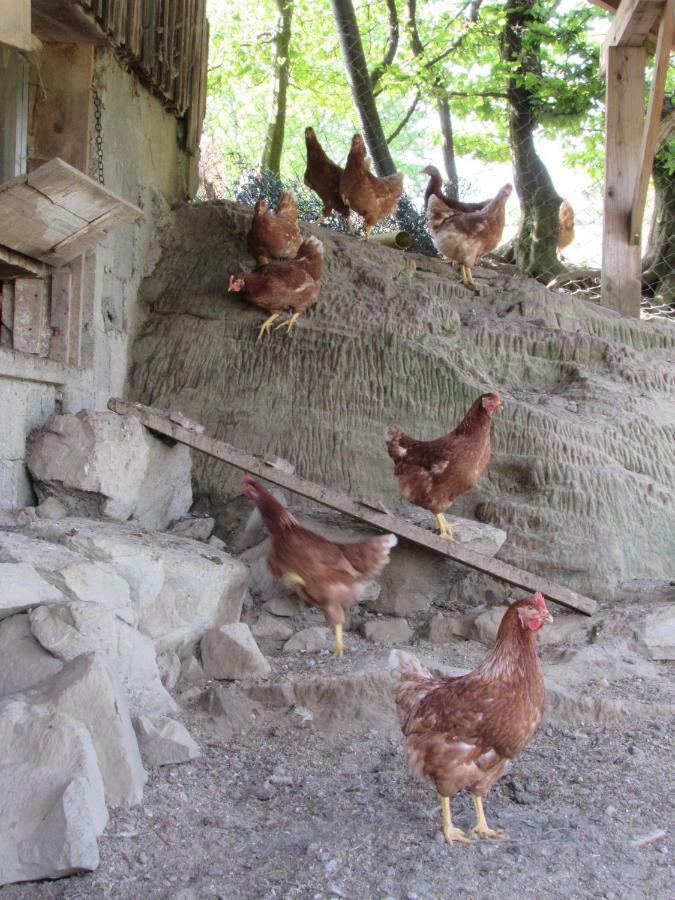 Stockreutehof Daire Sulzberg  Dış mekan fotoğraf