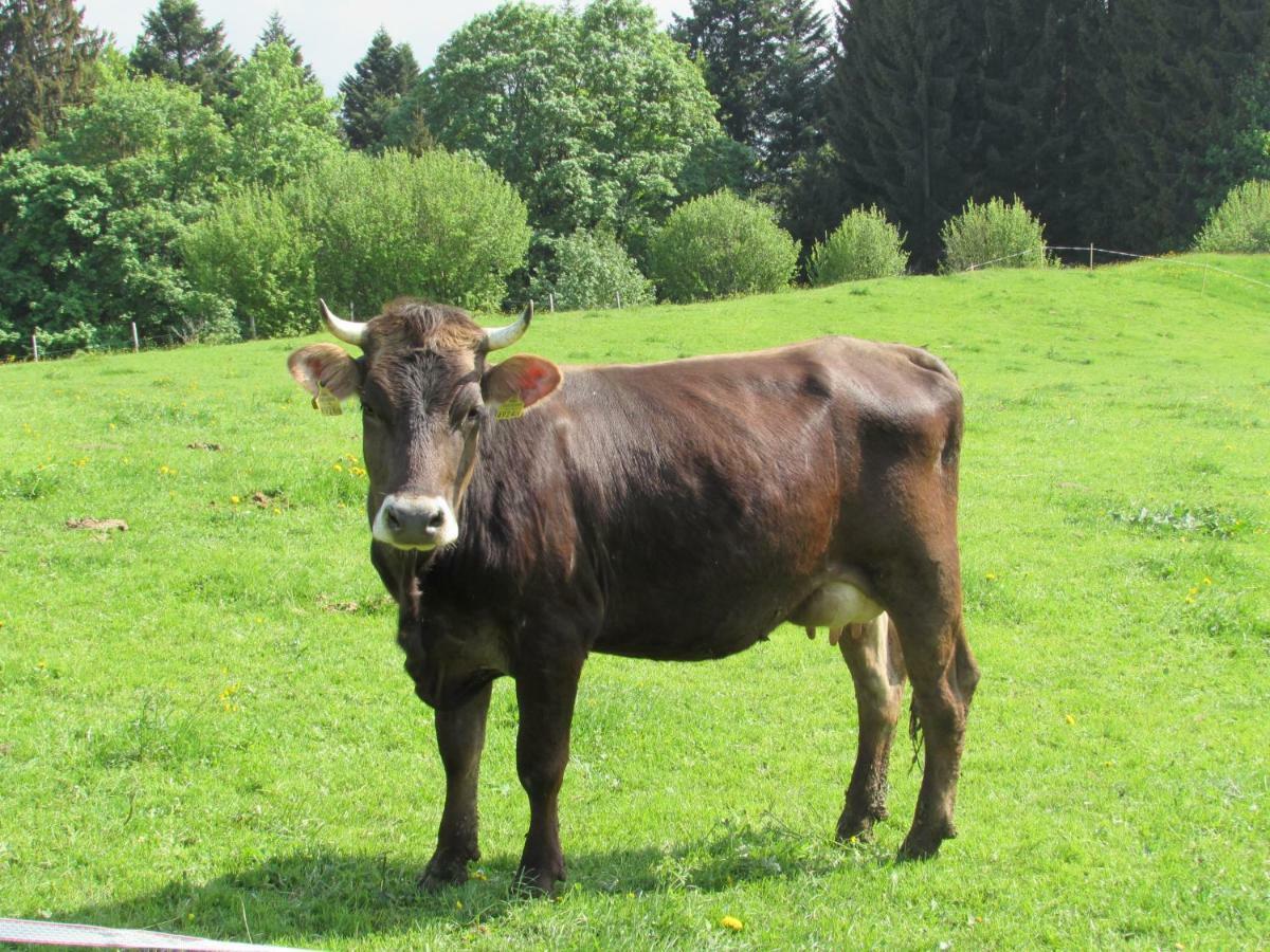 Stockreutehof Daire Sulzberg  Dış mekan fotoğraf