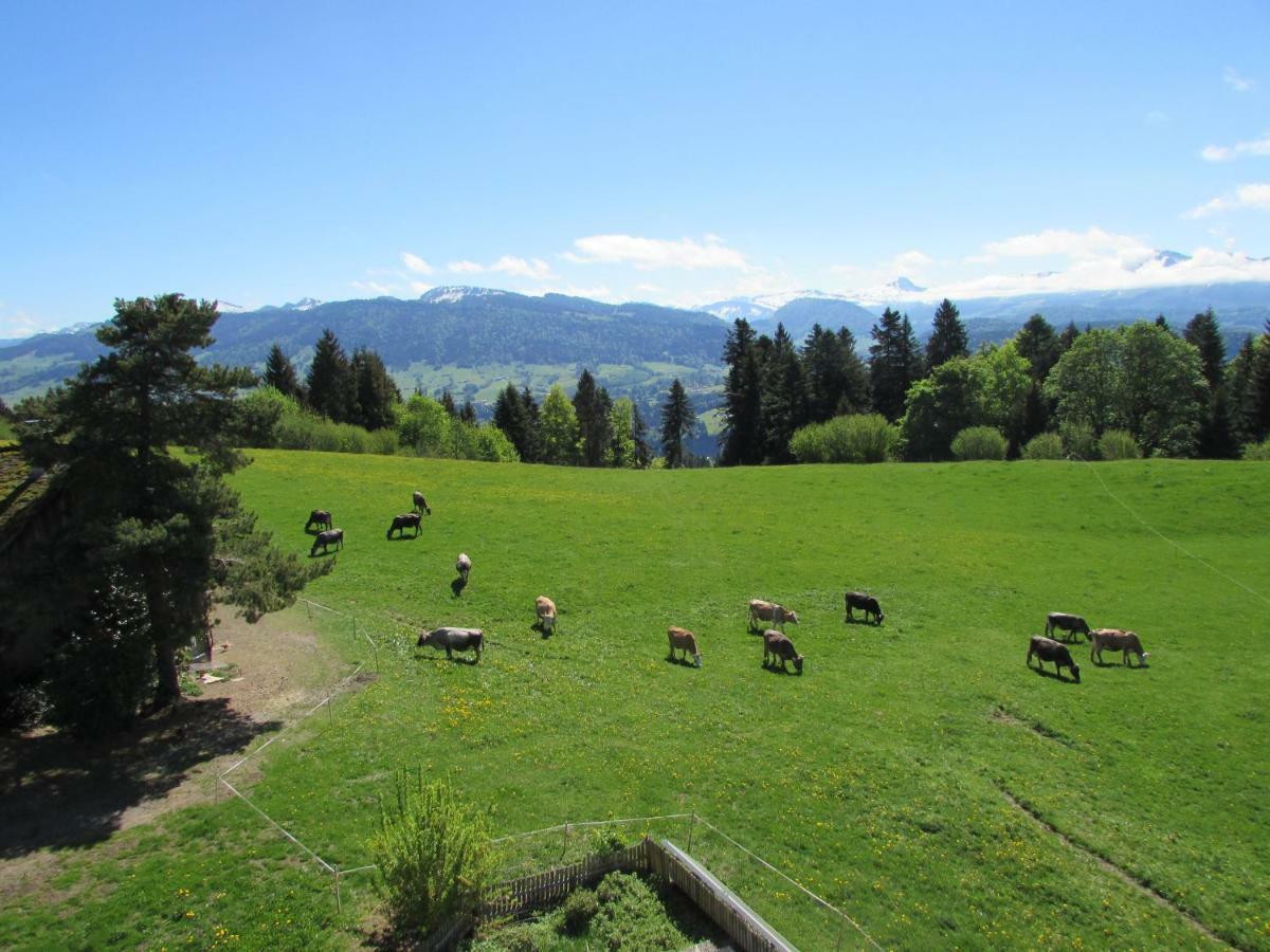Stockreutehof Daire Sulzberg  Dış mekan fotoğraf